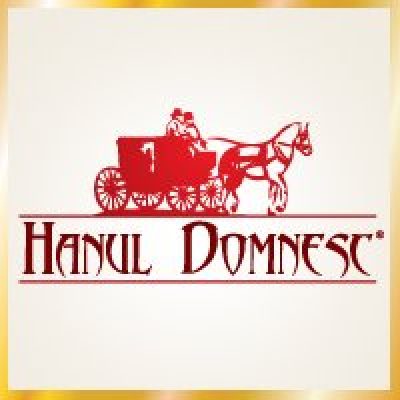 Restaurant Hanul Domnesc