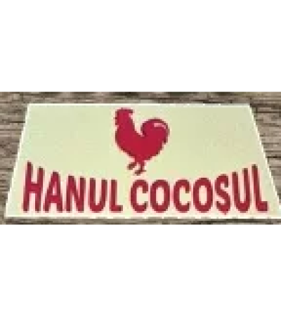 Hanul Cocosul